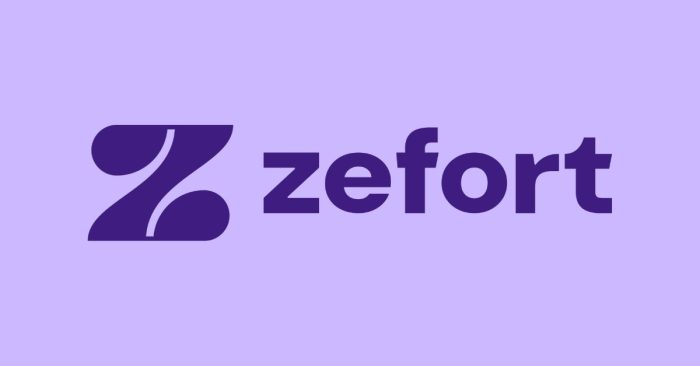Website preview - Zefort - launch
